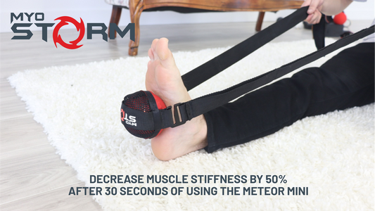 Kickstarter Update: METEOR MINI